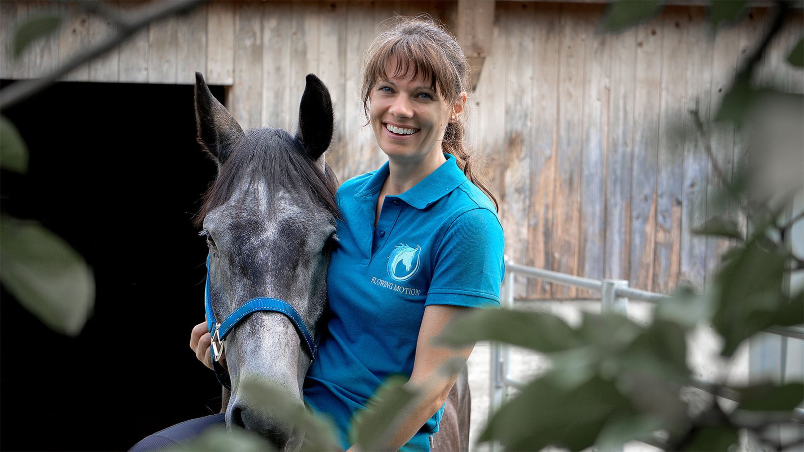 Pferde Physiotherapie